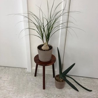  원목 화분 받침대 우드스텐드 30x40cm (스툴)