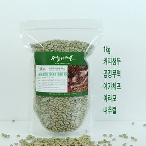 (공정무역) 1kg 커피생두 예가체프 아라모 내추럴 결점두제거 아라비카 그린빈