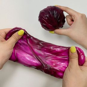 적양배추오독이 크런치 크래싱 ASMR 말랑이 피젯토이_P432768735