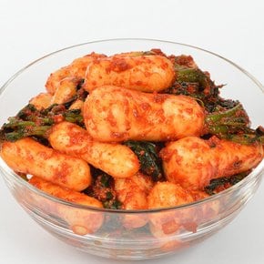 [G][마녀바스켓]아삭아삭 국내산 마녀 총각 알타리김치 2kg