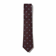 wine paisley pattern tie_CAAIX24110WIX