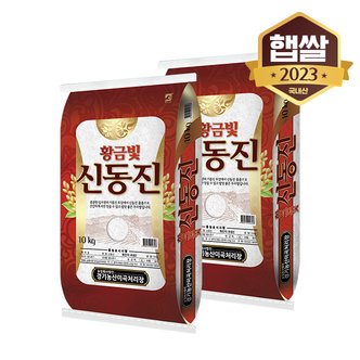 이쌀이다 [2023년산] 황금빛 신동진쌀 20kg/상등급