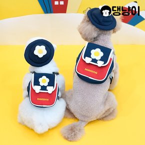 강아지 아카데미 백팩 하네스 세트(+모자 포함)
