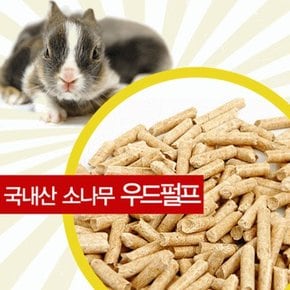 아마존/가형펄프펠렛5L.스타릿1