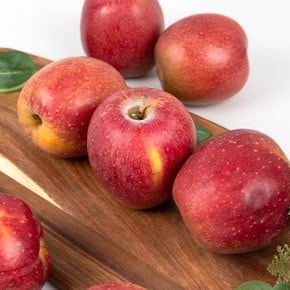 I`mperfect 못난이 감홍 사과 1.3kg (4~6입) 봉