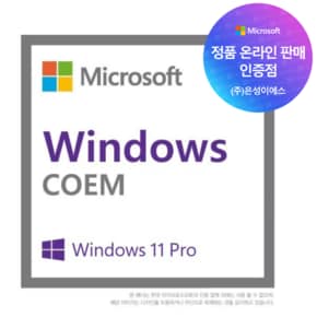 Windows 11 Pro 64bit DSP 한글 [온라인공인인증점]