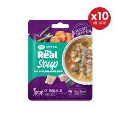 더리얼 캣 스프 삼치 40g x 10개