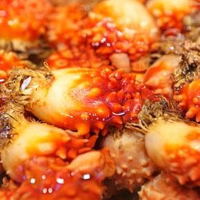 통영 활멍게 1kg(7-12미 내외)