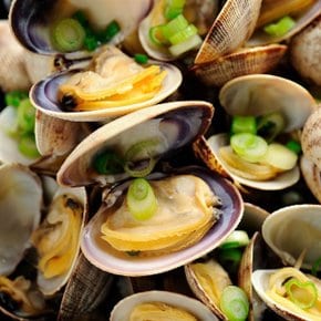 국내산 제철 활 바지락 1kg 100미 내외