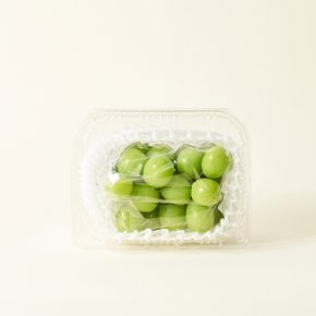 하루과일 샤인머스캣 포도 450g/팩