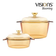 비젼 블루밍 1L+3L SET