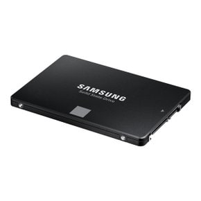 삼성전자 공식인증 870 EVO (MZ-77E500B/KR) SSD (500GB)