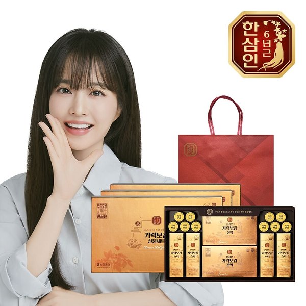 [농협홍삼] 한삼인 기력보감 선물세트 3세트+쇼핑백