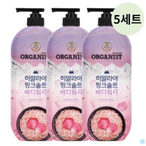 히말라야 핑크솔트 바디워시 로즈향 900ml 15개