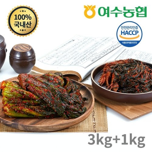 이미지 P