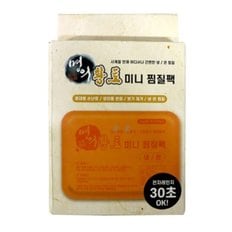 명의 황토 찜질팩 찜질기 온열 찜질 냉찜질팩 휴대용 (WD60E82)