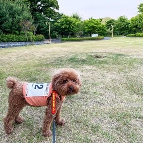 [주문제작] 메세지 리드줄 메세지 중간리드줄 인식표