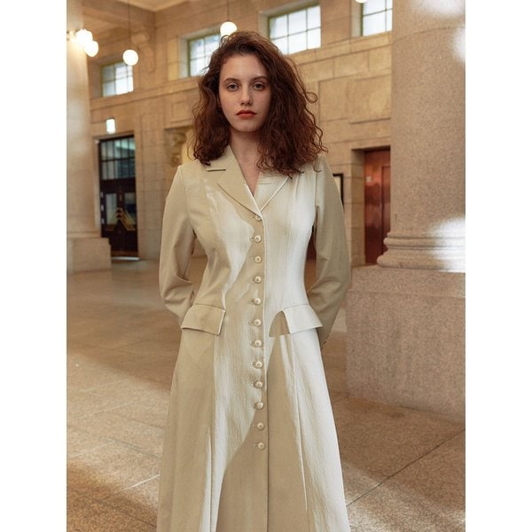 TWS COLLAR BUTTON CLASSIC DRESS _2 COLOR