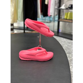 [제주점] STUDIO GB 247 FLIPFLOP-PINK-G4XSL501