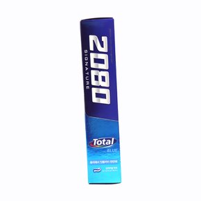2080 치약 덴탈크리닉 오리지날 민트 시그니처 토탈블루 125g