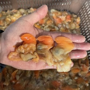 국내산 제철 손질 갈미 조개살 250g x 2개 급냉 샤브샤브 명주 조개
