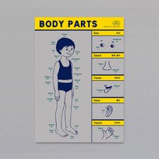 POSTER - BODY PARTS (GREY)