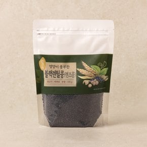 블랙 렌틸콩 500g