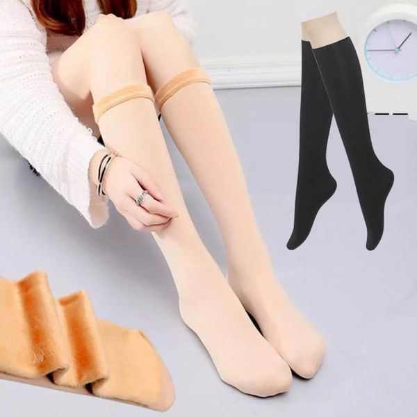 확대된 대표 상품이미지