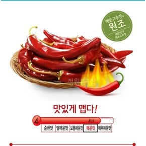 순창 태양초매운고추장(비닐)500g