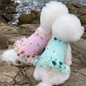 [쥬비코 강아지옷] 수영복 여름 휴가 물놀이 스윔수트 에띠 수영복(2color) XS~XXL