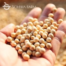 소화농장 2024년 햇 백태 1kg 메주콩