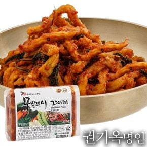 [식품명인 권기옥] 무말랭이 장아찌 225g x 2팩