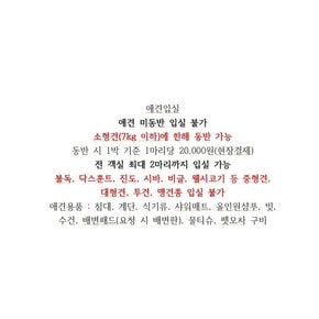 [강릉시] 강릉 경포몽애견펜션