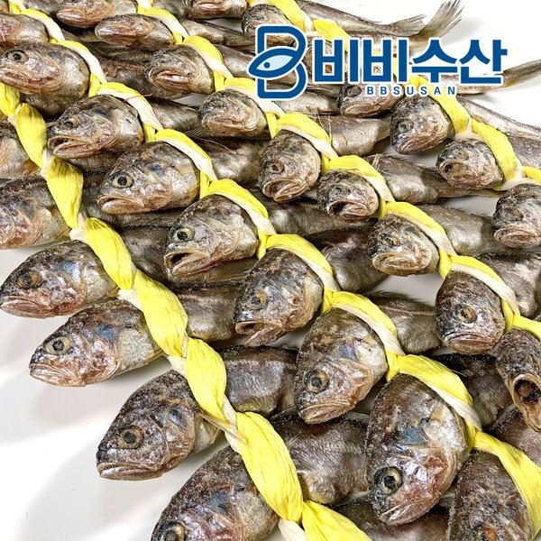 제주 참조기 1kg(15-20미 내외) - SSG.COM