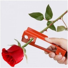 식물 장미 정리기 원예 꽃꽃이 제거 가시 가시제거기 가시제거기 원예공구