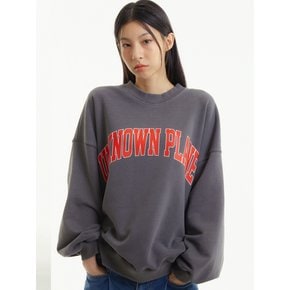 피그먼트 로고 스웻셔츠 챠콜_PIGMENT LOGO SWEATSHIRT CHARCOAL