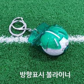 그린방향 골프 볼라이너