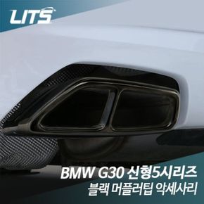 BMW 악세사리 블랙팩 배기구 머플러팁 5시리즈 G30