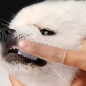 강아지 고양이 실리콘 손가락 칫솔 핑거브러쉬