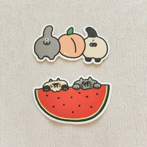 조각 스티커 - 과일가게 고양이들