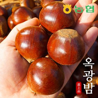 프레시데이 [농협] 달고 고소한 토종맛 옥광밤 로얄대 1kg