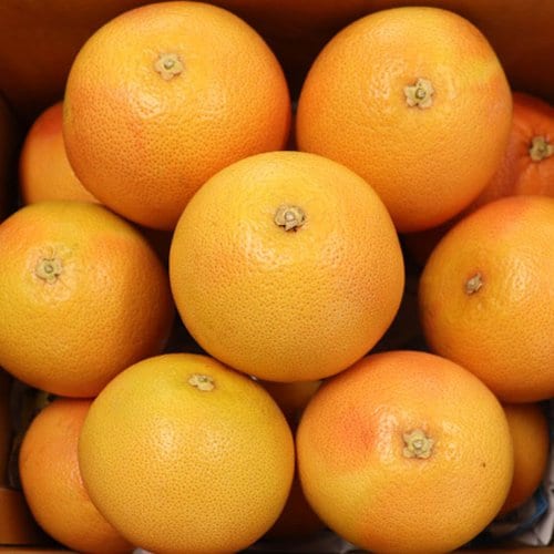 상품이미지3