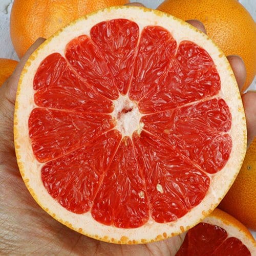 상품이미지5
