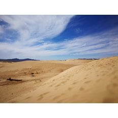 [청주출발/에어로케이]몽골 테를지초원 엘승타사르해사막 4박6일 현대식게르1박(2인1실) 노쇼핑노옵션