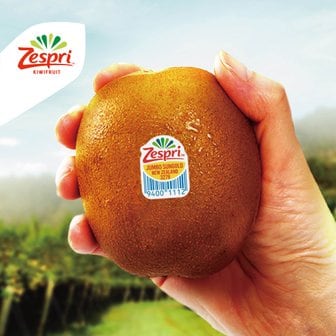 제스프리 썬골드키위 슈퍼점보과 1.7kg (11입,개당 155g내외)