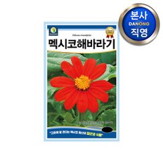 멕시코 해바라기 씨앗 50립 . 티토니아 일년생 야생화 식물 키우기 꽃 꽃씨 종자