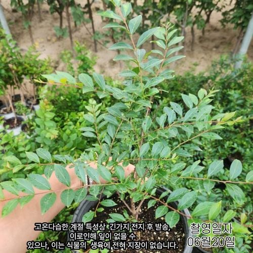 추가이미지2