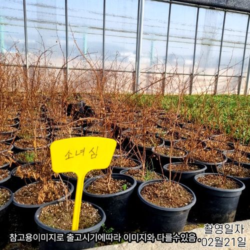 추가이미지3