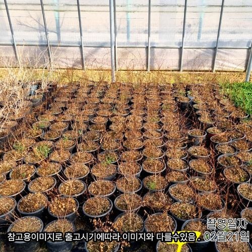 추가이미지4