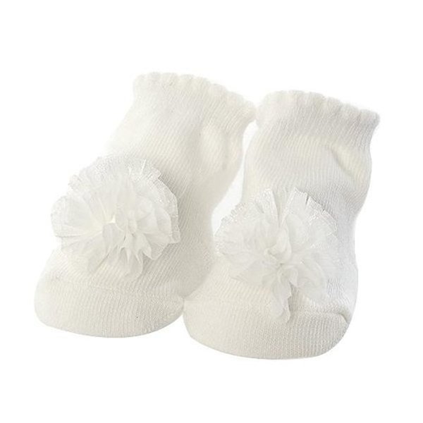 확대된 대표 image1